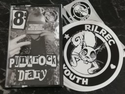 DIY Fanzines by RilRec (Youth)